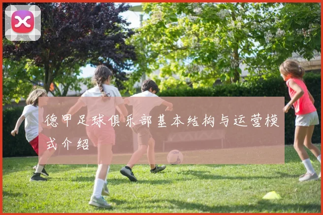 德甲足球俱乐部基本结构与运营模式介绍