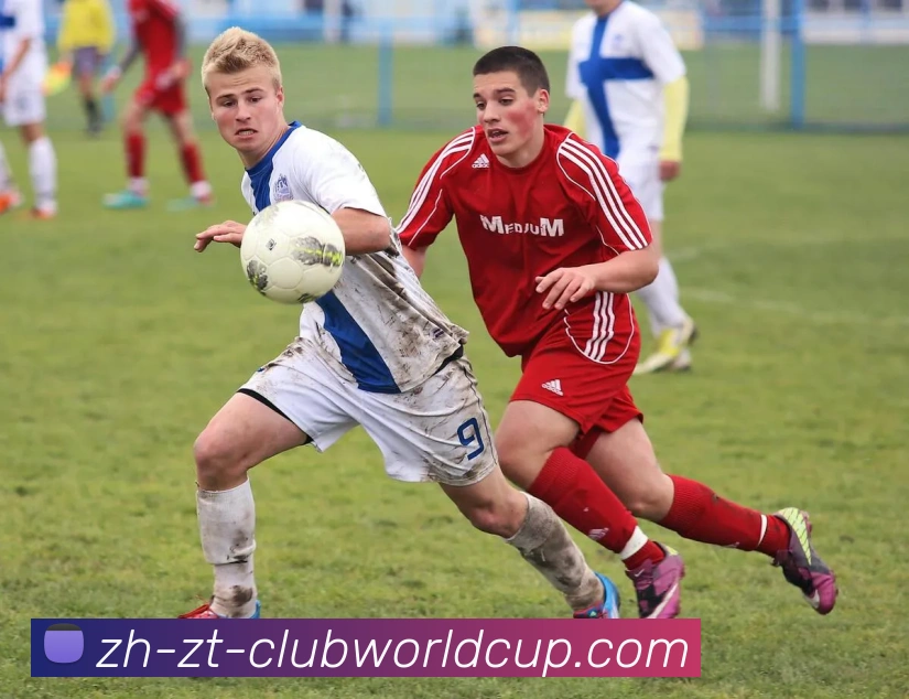 世界杯官网平台生态图